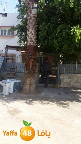 dahmashasudwq (14).jpg